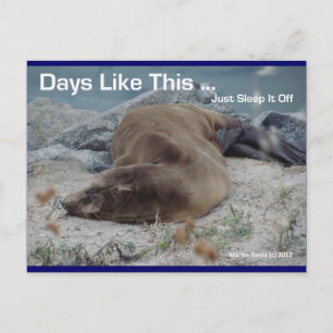 Tage wie diese (Sea Lion) - Postkarte