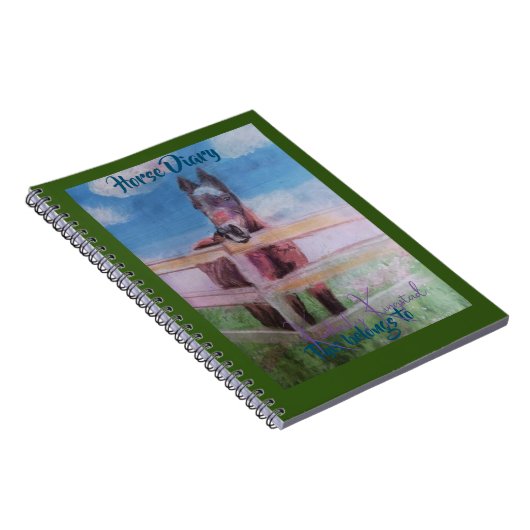 Tagebuch (Rechte Seite)