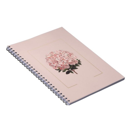 Tagebuch (Rechte Seite)