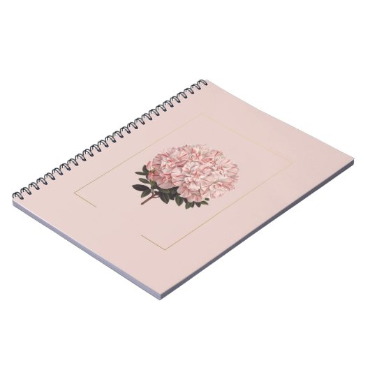 Tagebuch (Linke Seite)