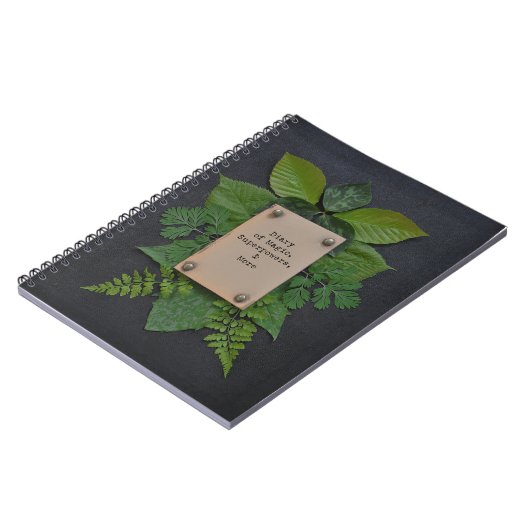 Tagebuch von Supermächten (Linke Seite)