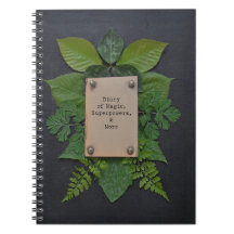 Tagebuch von Supermächten