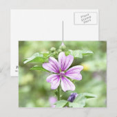 Tagesanbruch - Braune Blume Postkarte (Vorne/Hinten)