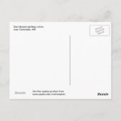 Tagesarbeiter, die Baumwolle pflücken, in der Nähe Postkarte (Rückseite)