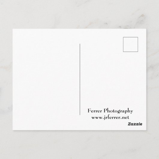 Tagesausflug am Chapala-See Postkarte (Rückseite)