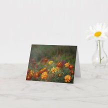 Tagesblume Fine-Art-Foto mit traumhafter Wirkung