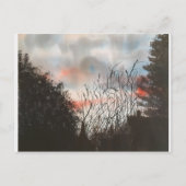 TAGESBREAK , POSTCARD POSTKARTE (Vorderseite)