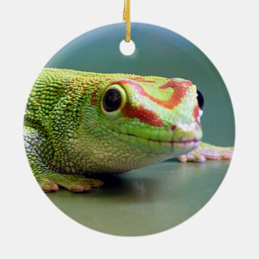 TagesGecko Keramikornament (Hinten)