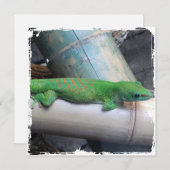 Tagesgecko-Quadrat-Einladungen Madagaskars riesige Einladung (Vorne/Hinten)