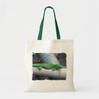 Tagesgecko-Taschen-Tasche Madagaskars riesige