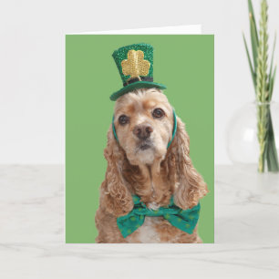 Tagesgruß-Karte Cocker spaniels St Patrick Karte