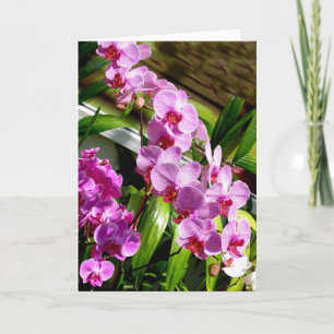 Tageskarte der glücklichen Mutter Karte