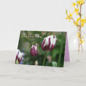 Tageskarte der lila Tulips-Mama Karte (Gelbe Blume)