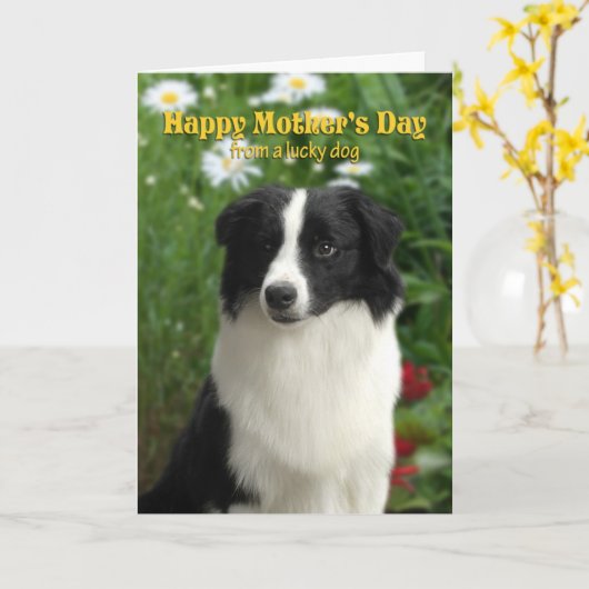 Tageskarte der Mutter für Grenzbewohner Karte (Gelbe Blume)