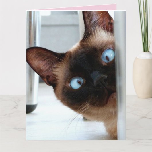 TAGESKARTE DER MUTTER NIEDLICH PEEKING CAT GREETIN KARTE (Vorderseite)