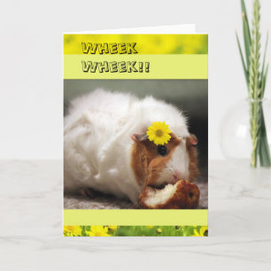 Tageskarte für hübsche Schweine Karte