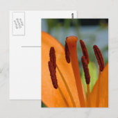 Tageskarte Postkarte (Vorne/Hinten)