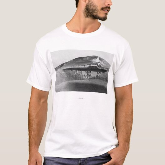 Tageslicht-begrenzte Eisenbahn über Tressel T-Shirt (Vorderseite)