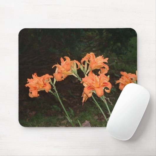 Tageslilie Mousepad (Mit Mouse)