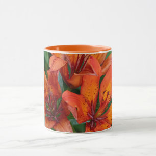 Tageslilien-Botanikdruck, kanadische Fotografie Tasse