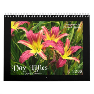 Tageslilien-Kalender 2008 Kalender