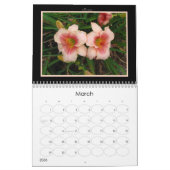 Tageslilien-Kalender 2008 Kalender (Mär 2026)