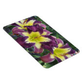 Tageslilien Magnet (Rechte Seite)
