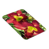 Tageslilien Magnet (Rechte Seite)