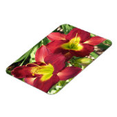 Tageslilien Magnet (Linke Seite)