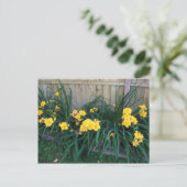 Tageslilien Postkarte (Stehend Vorderseite)