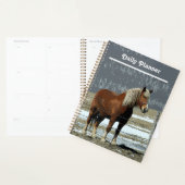 Tagesplaner für belgisches Pferd in Paddock Planer (Anzeige)