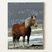 Tagesplaner für belgisches Pferd in Paddock Planer (Rückseite)