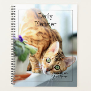 Tagesplaner - Katze - HAMbWG Planer