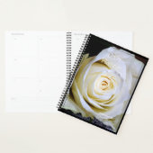 Tagesplaner mit weißer Rose - HAMbWG Planer (Anzeige)