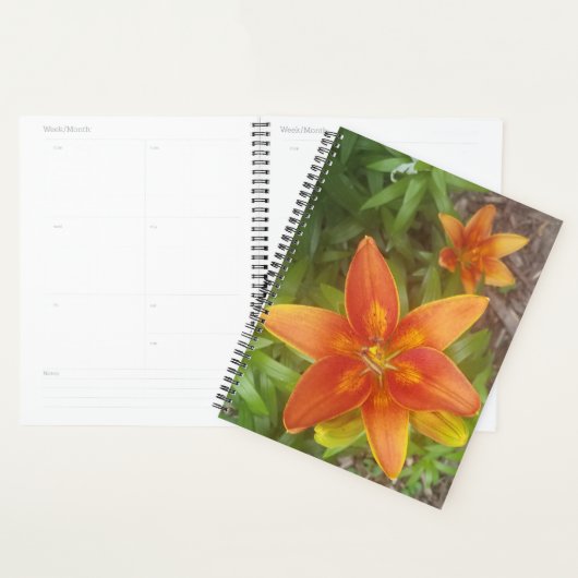 Tagesplaner Planer (Anzeige)