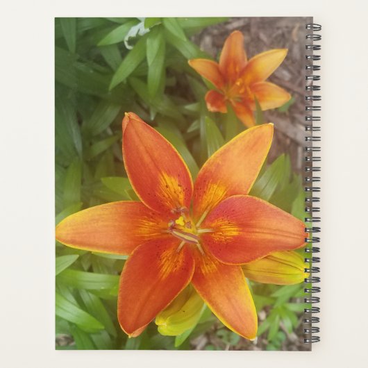 Tagesplaner Planer (Rückseite)