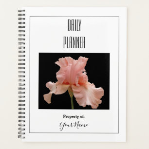 Tagesplaner - weiche rosa Blume - HAMbWG Planer