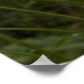 Tagestext 1 poster (Ecke)