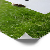 Tagesthema "Groundhog": Niedliche Groundhog Poster (Ecke)