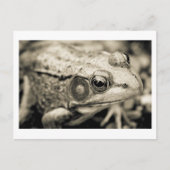 Tageswunsch Postkarte (Vorderseite)