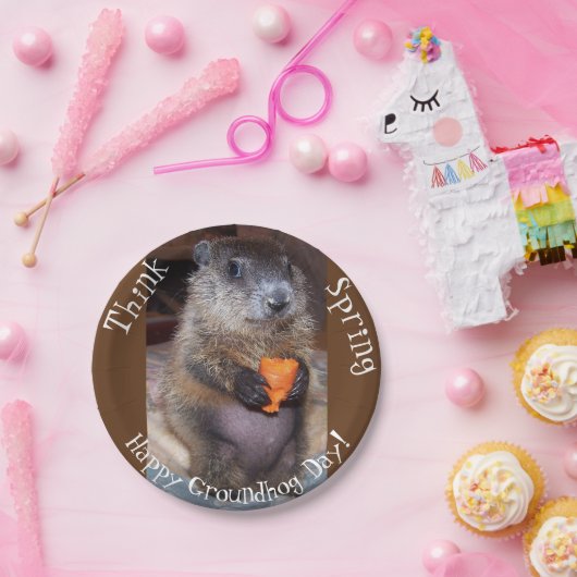 Tageszeitung Teller (Party)