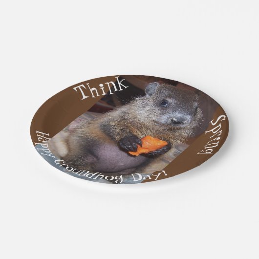 Tageszeitung Teller (Schrägansicht)