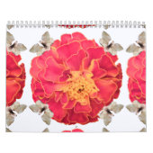 Tagete-ByRino Kalender (Titelbild)
