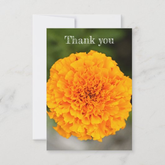 Tagetes-Flach-Dankeskarten Dankeskarte (Vorderseite)