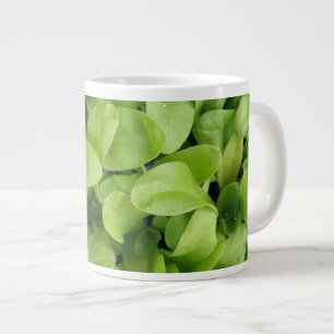 Tagetes-Sämlinge-Tasse Jumbo-Tasse