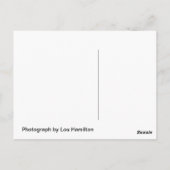 Täglich spielen postkarte (Rückseite)