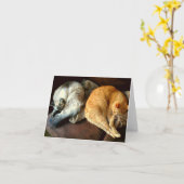 Tägliche Mitteilungskarten mit Katzen! (Gelbe Blume)