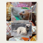 Täglicher Werbeplaner - HAMbyWG Planer (Rückseite)