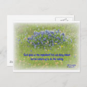 Tägliches Brot Postkarte (Vorne/Hinten)