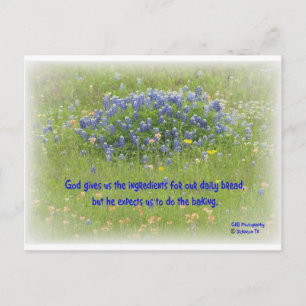 Tägliches Brot Postkarte